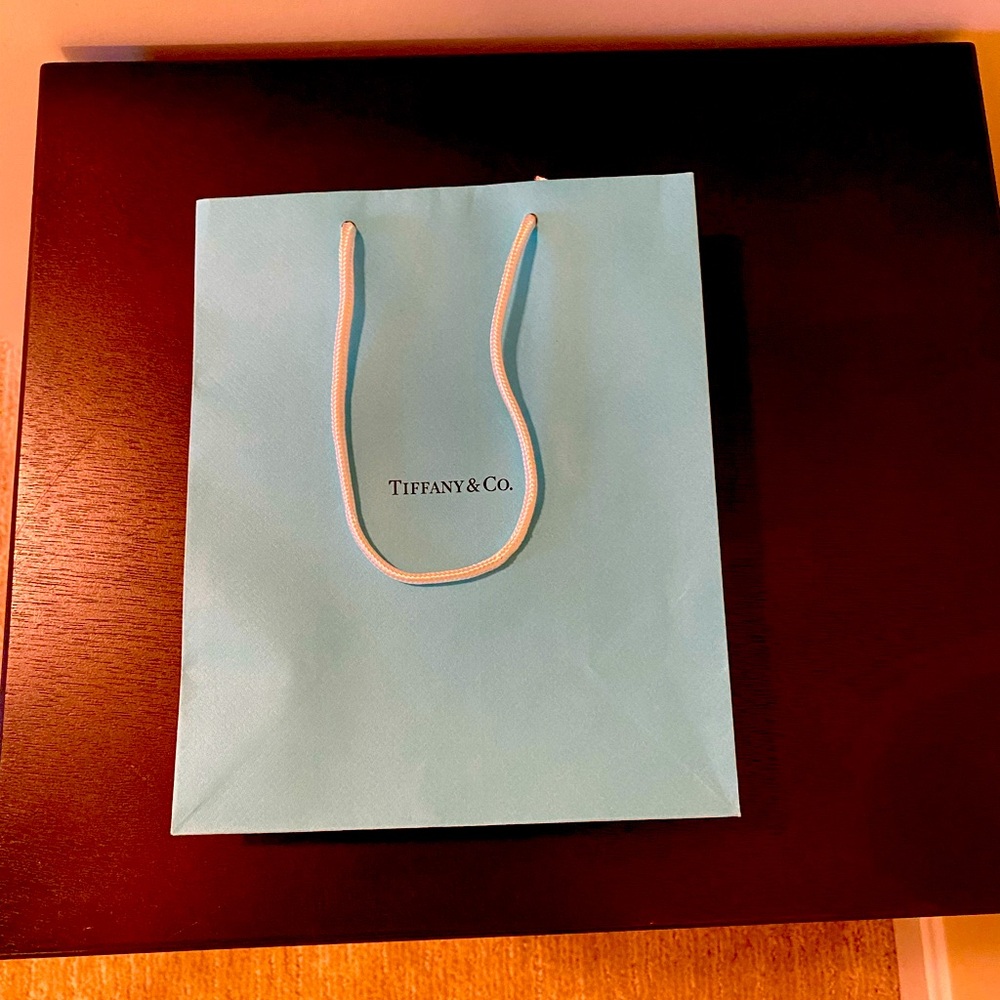 Tiffany Gift Bag, medium size.
